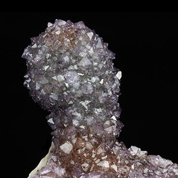 Amethyst flowers Properties and Meaning