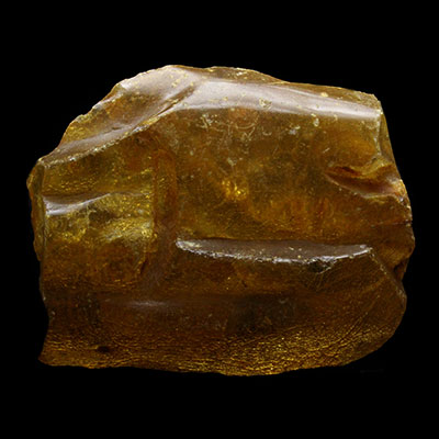 Amber Properties and Meaning Example Photo 4