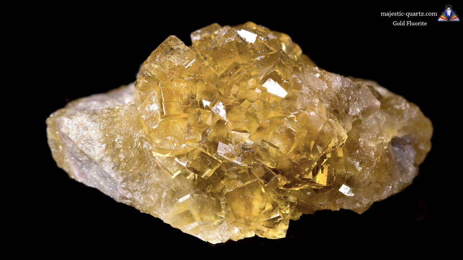 Crystal gold. Кристалл Голд актриса. Кристал Голд (Crystal Gold) актриса. Маджестик кварц. Кристал Голд (Crystal Gold) stockings.